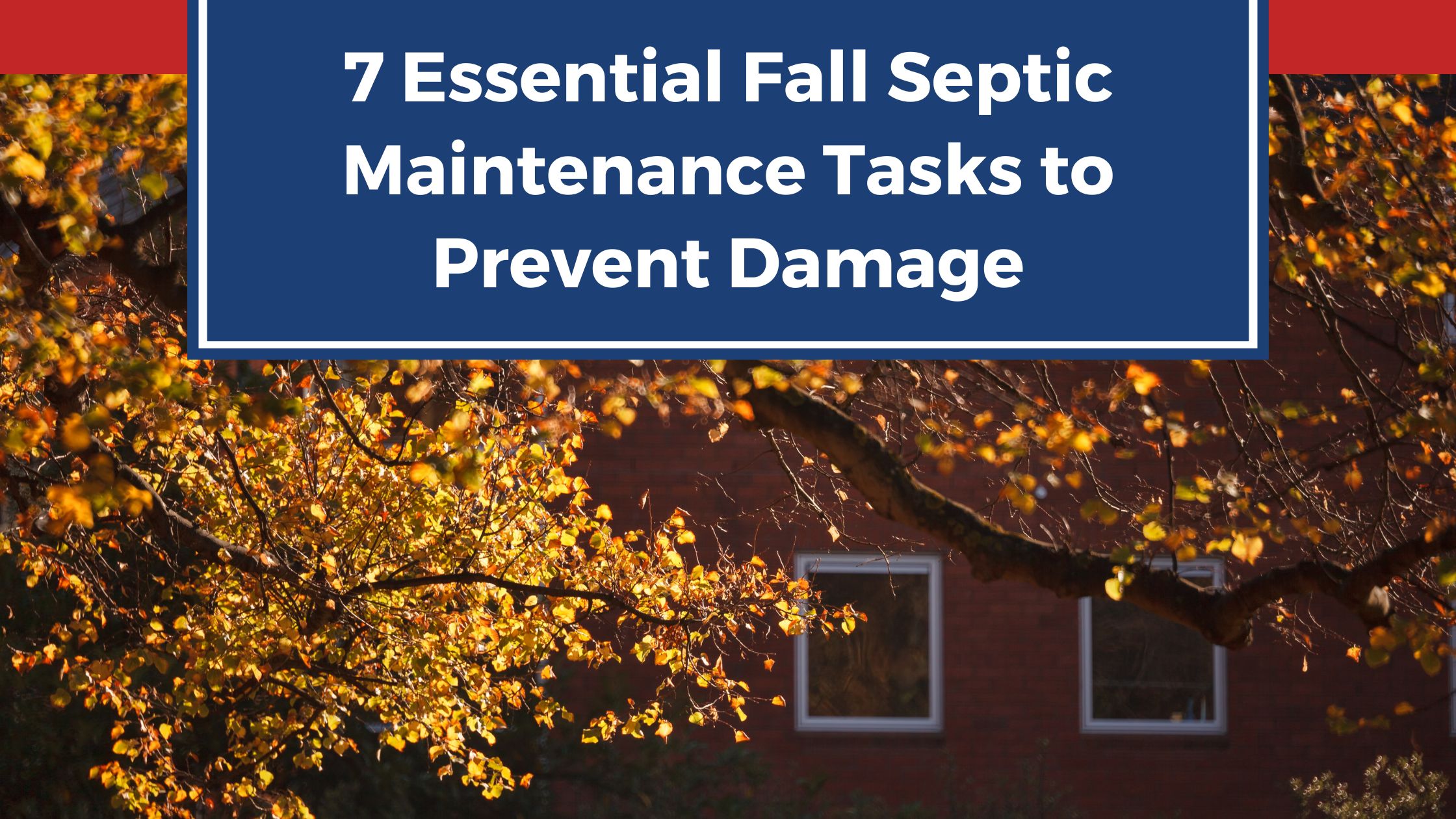7 Essential Fall Septic Maintenance Tasks to Prevent Damage